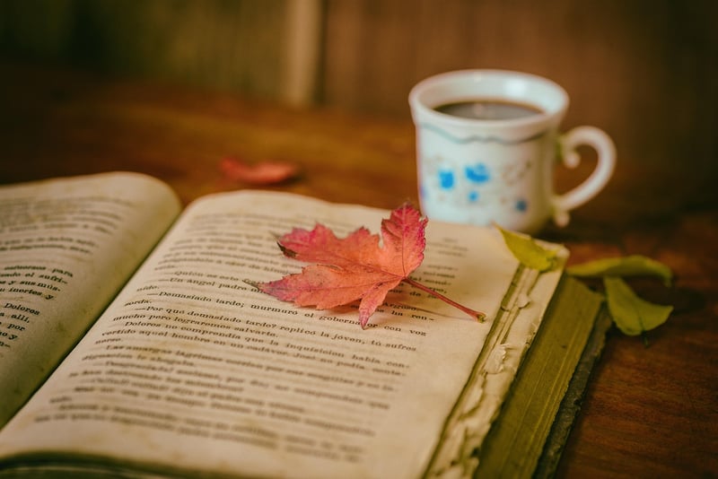 E-book Reading